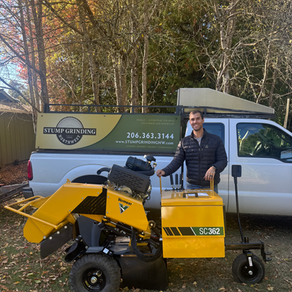 How Much Does Stump Removal Cost? A Professional Stump Grinder Explains What Actually Determines the Price