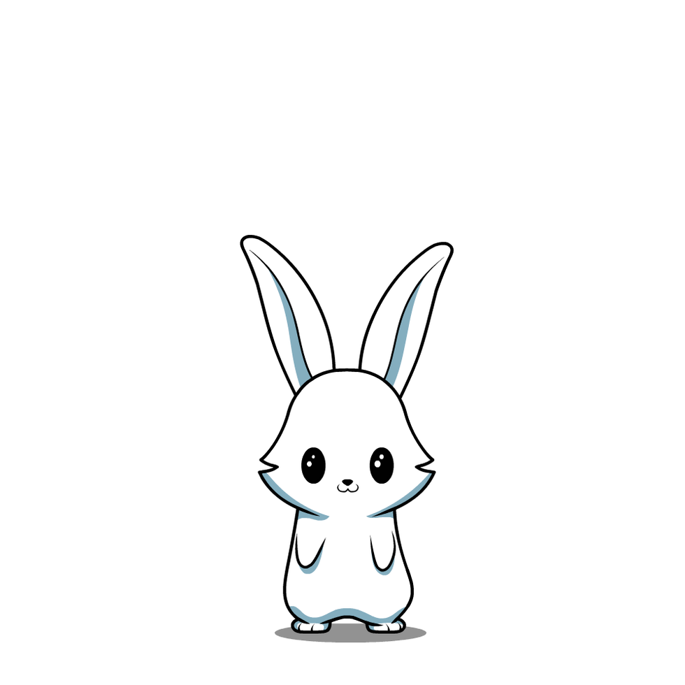 Bunny model given by professor