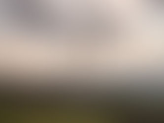 Public Guarantees Could Strengthen European Green Industry