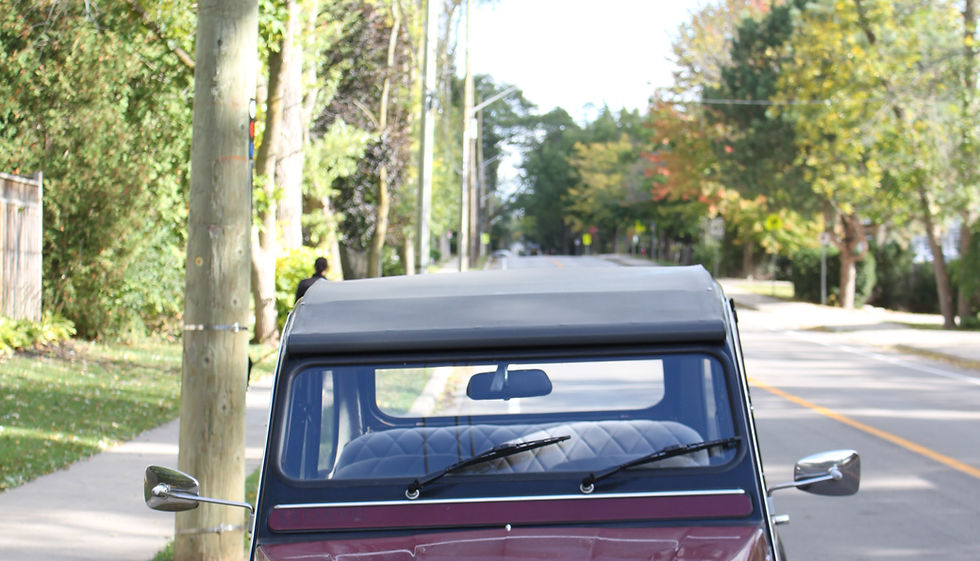 Apple Orchard Fall 2017 056.JPG