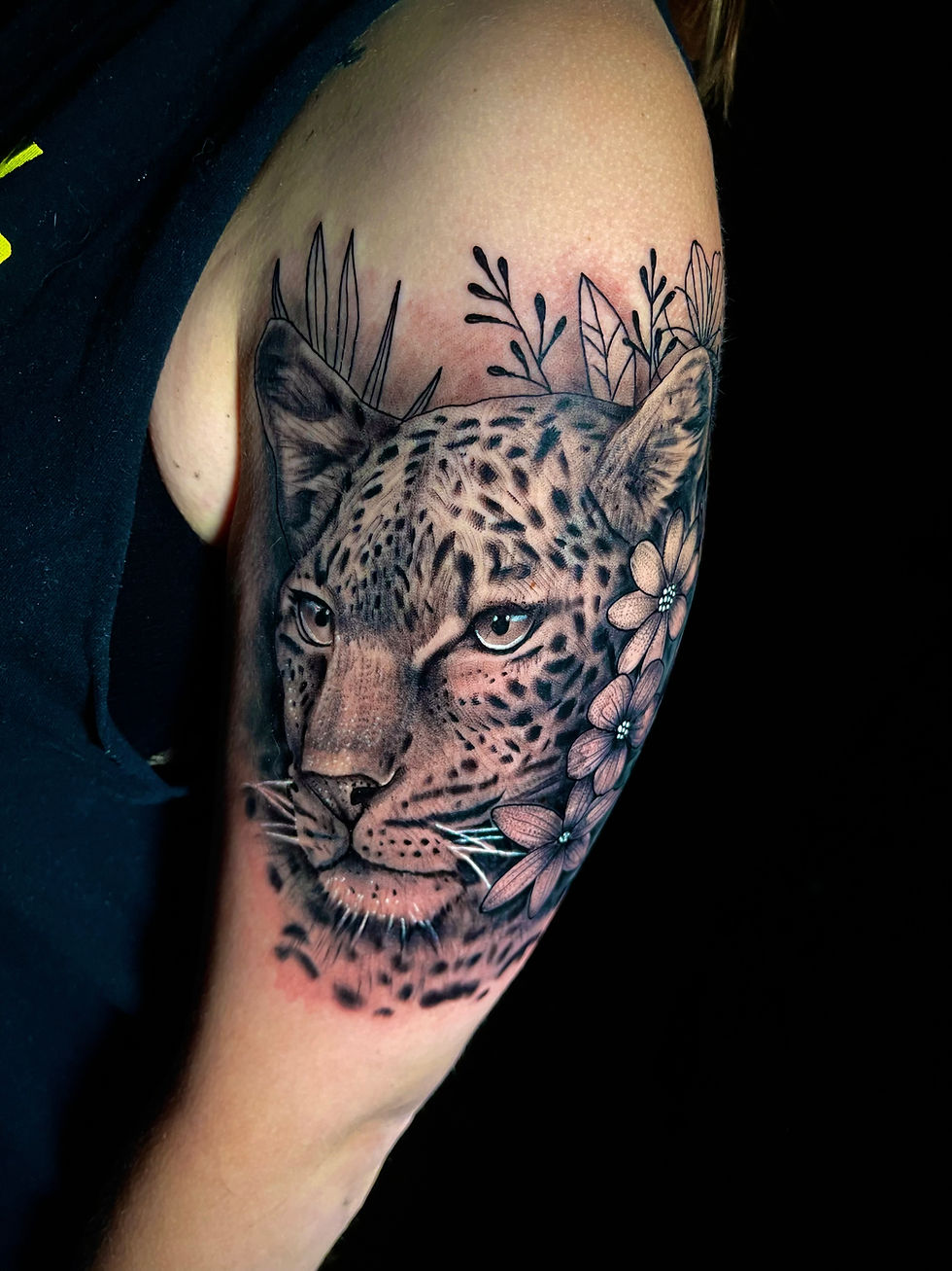 Leopardo