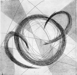 Convergencia Evolutiva