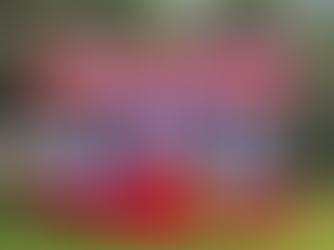 Top 5 Kitty Bounce Houses in Los Angeles: Perfect for Your Next Party!