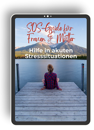 Vorschaufoto SOS-Guide für Newsletter-Abschnitt.png