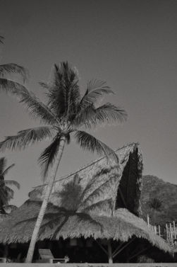 DSCF9715 1.jpg