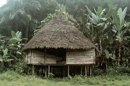 DSCF0657.png