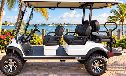 ICON Gas Golf Cart Driver Side