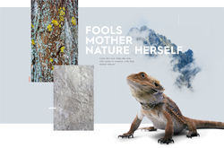 Italtile-advert-Drop-2-of-6