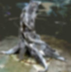 Escultura