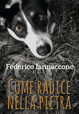 copertina come radice.png