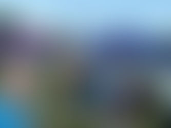 Great Results At Kingy 