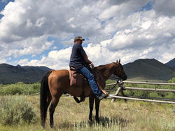 Rod Gustin, TBCH Chapter