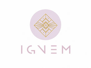 🚀 Ignem: From Startup Journey to Product Launch