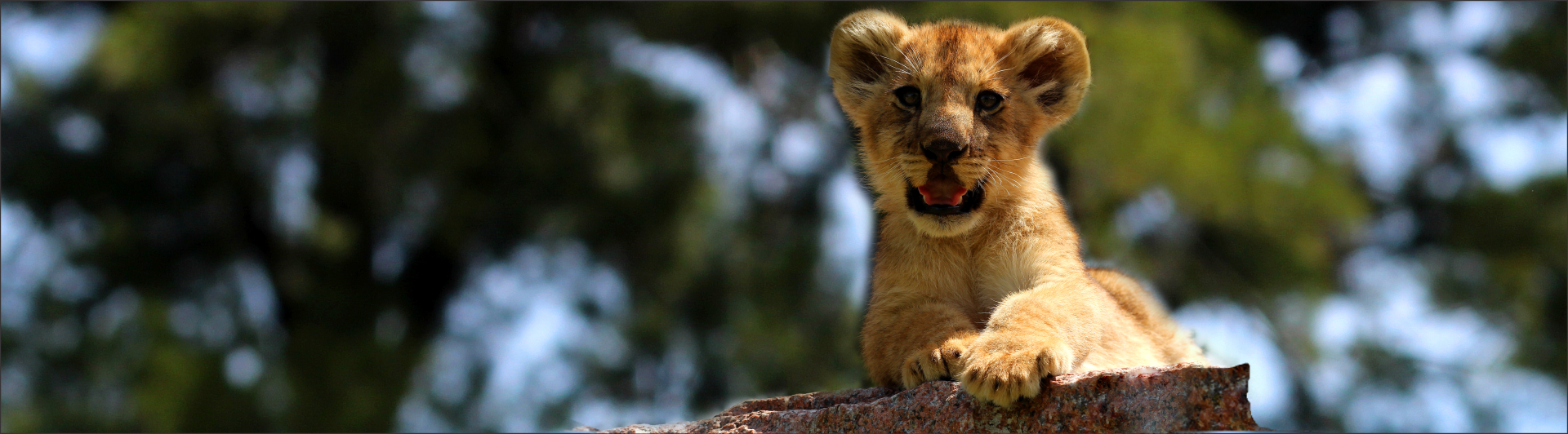 Abierto todos los días de la semana