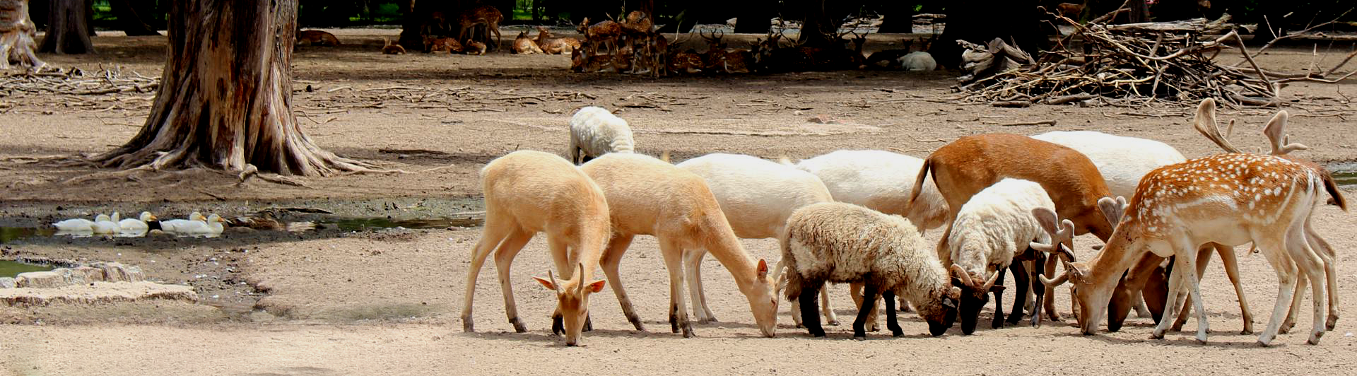 Visitas Guiadas desde las 11 hs.