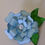 Miniatura: Flores de papel- "Flor azul? Pode...
