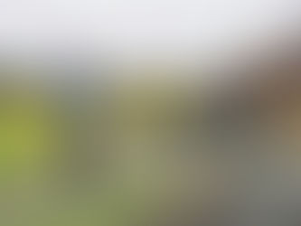 Barfrost-turneringen 2025