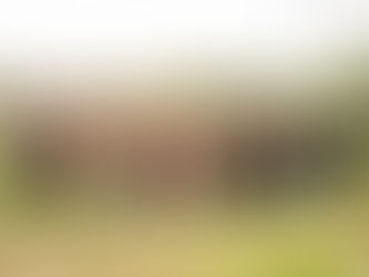 Under the Garden Lights