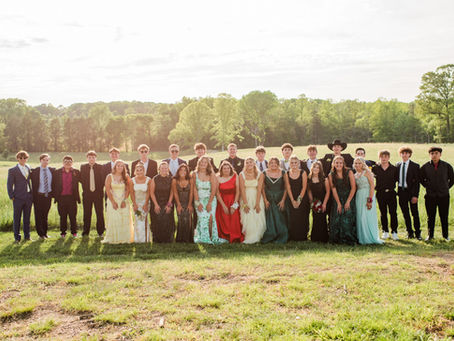 Under the Garden Lights