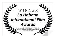Havana International Film Awards 2024.JPG