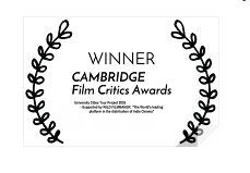 Cambridge Film Critics Awards.JPG