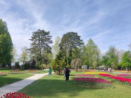 Tulpenfest in Morges
