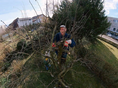 Schnittkurs 19.Februar 2022