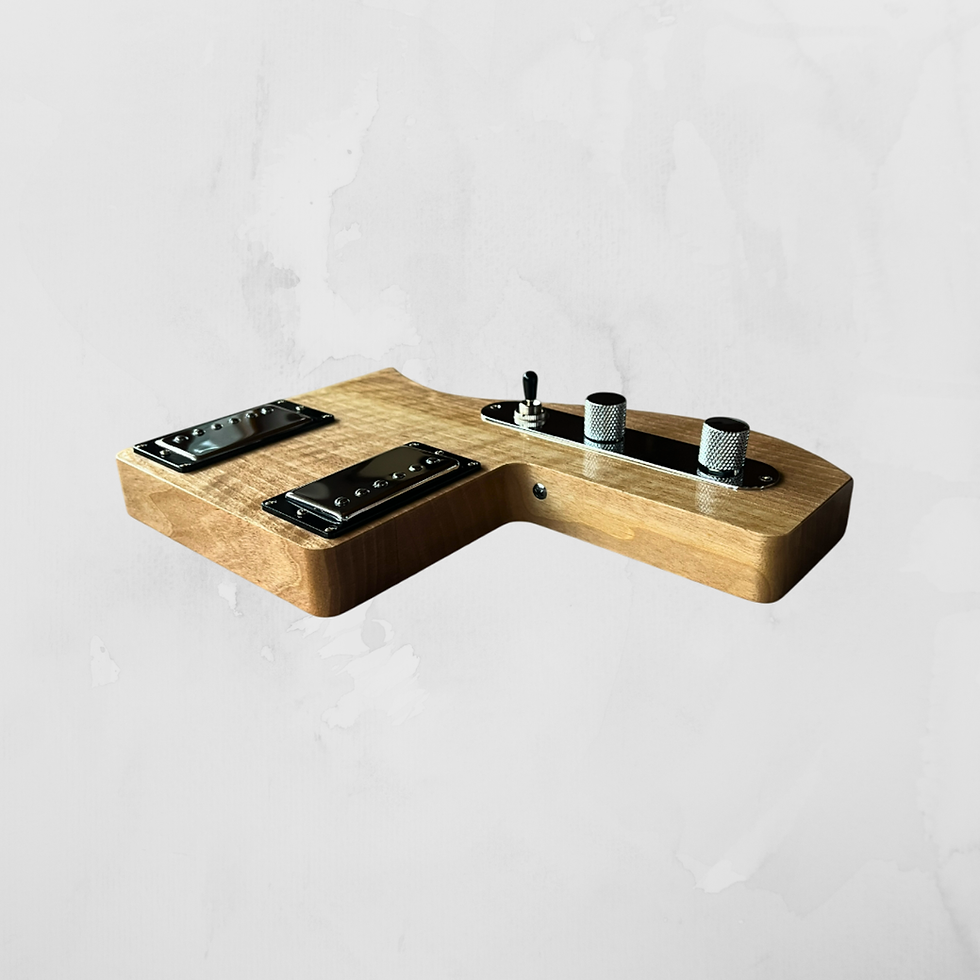 Miniaturbild: MagTone humbucker pickup module for MagTone Guitars