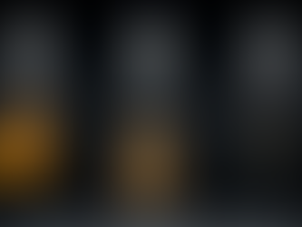 MagTone E-Gitarren 2025