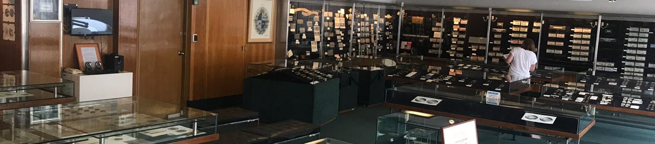 Deshumidificadores para proteger tus colecciones