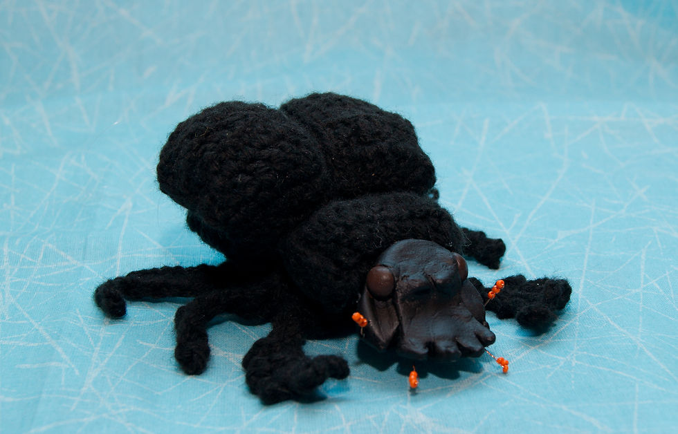 Навозный жук