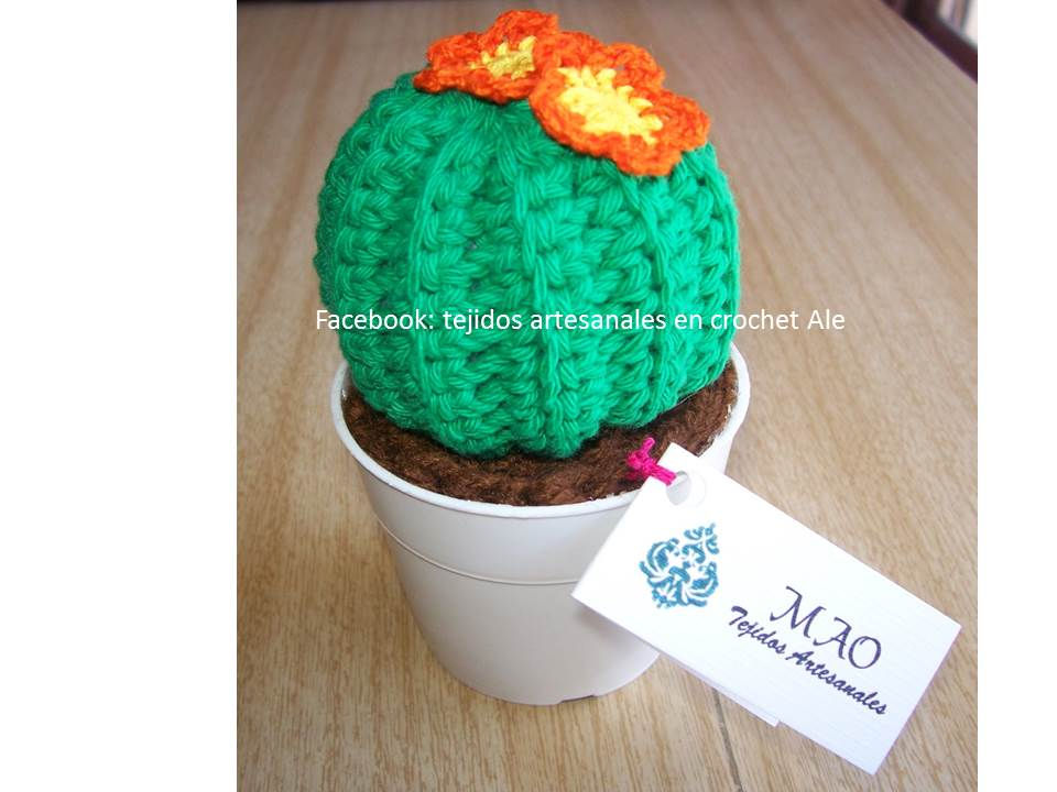 Thumbnail: Cactus con maceta