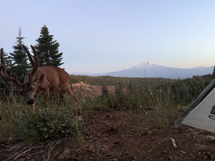 Week 16: Summit Lake Road - Etna