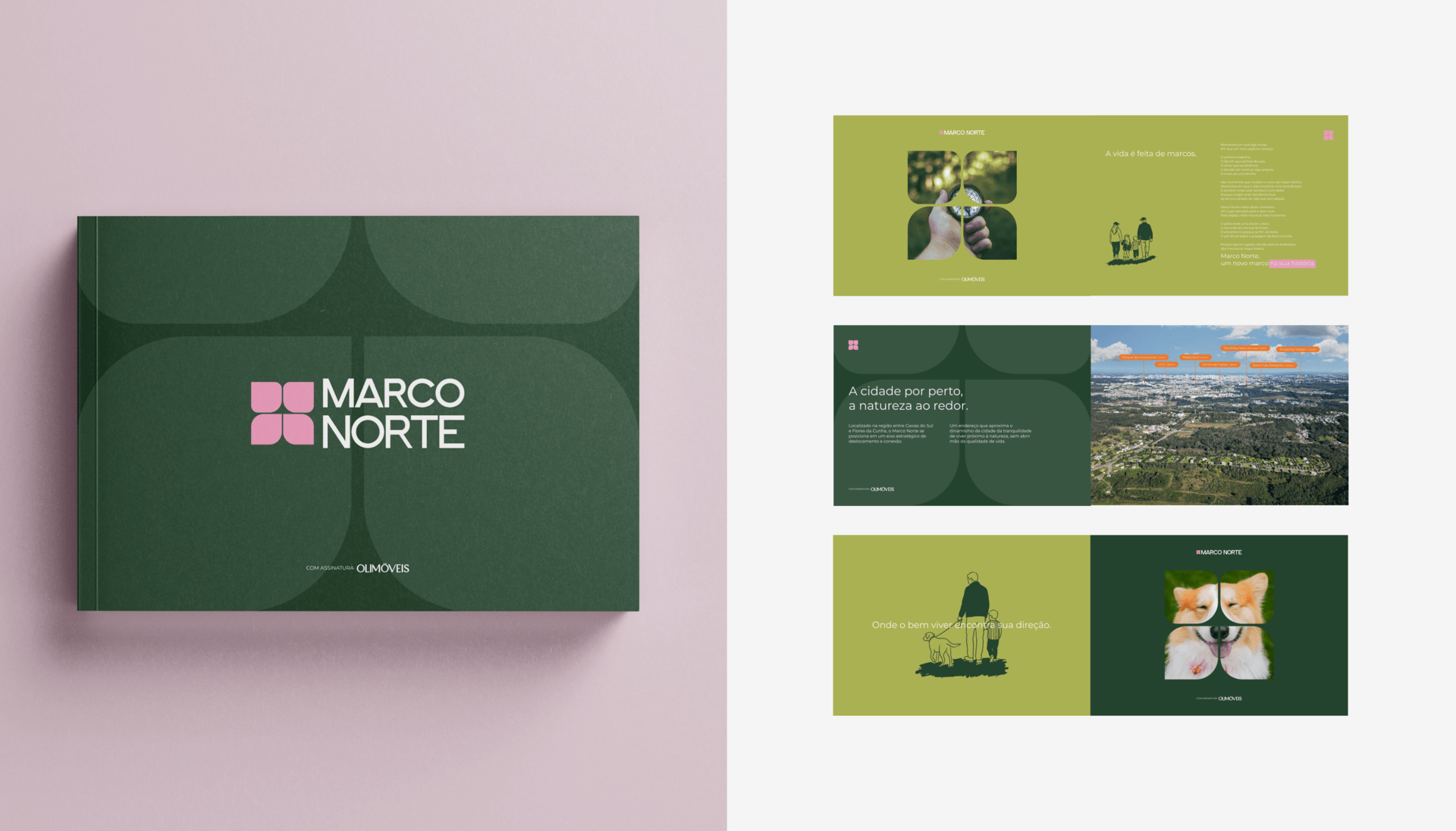 Beh - Studio Caustica - Marco Norte 23.gif
