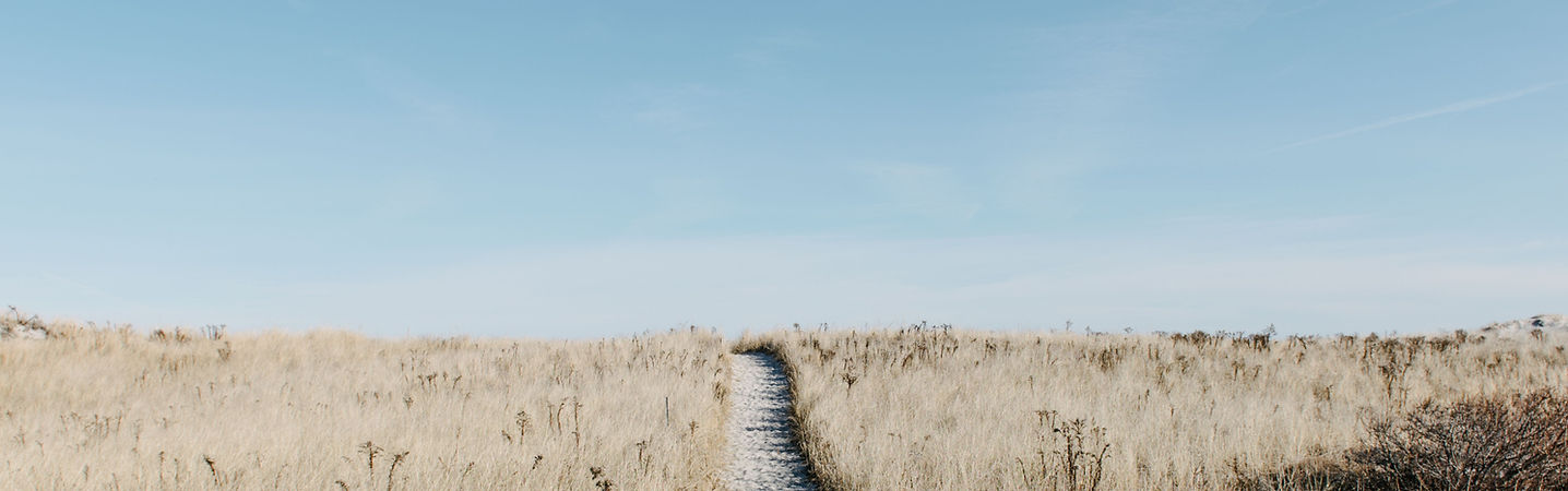 alice-donovan-rouse-pZ61ZA8QgcY-unsplash_edited.jpg