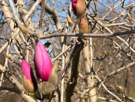The Great Crossing: a Spring Equinox Reflection