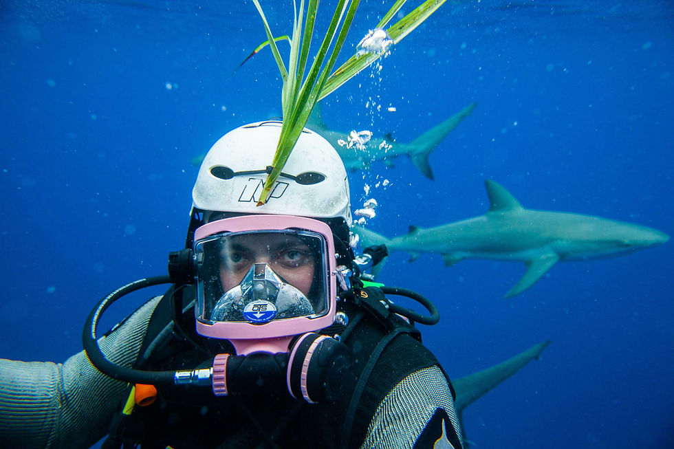 Diver selfie with sharks swimming nearby