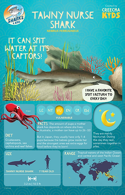 TawnyNurseShark-InfographicPoster.png