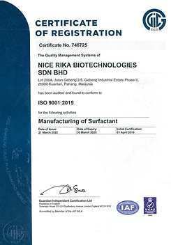 ISO 9001 2015 Nice Rika - 2022-2025.png