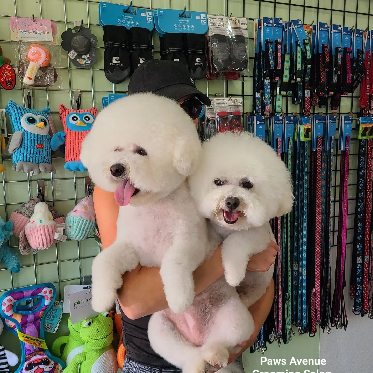 Best pet grooming in Mississauga