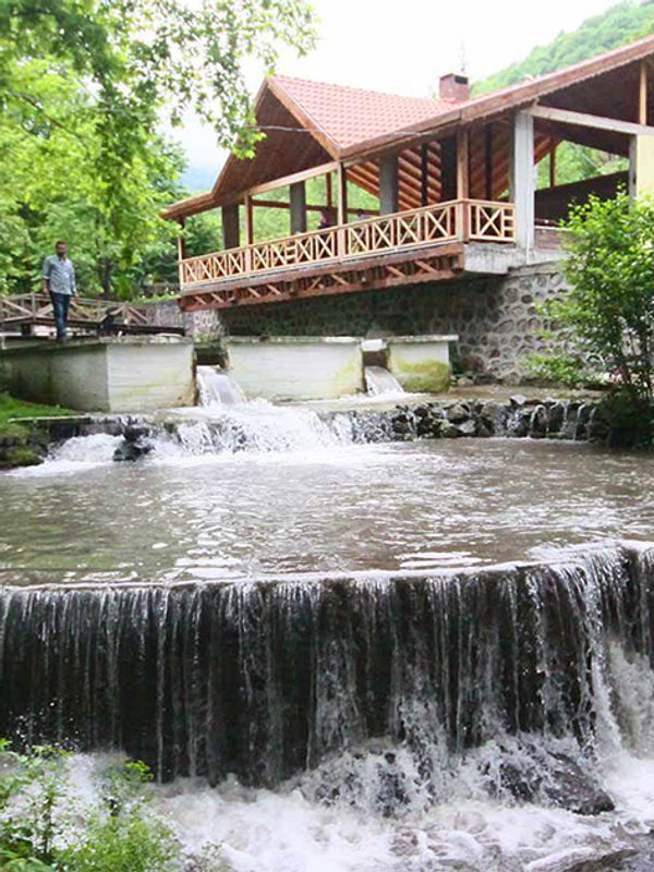 Maşukiye