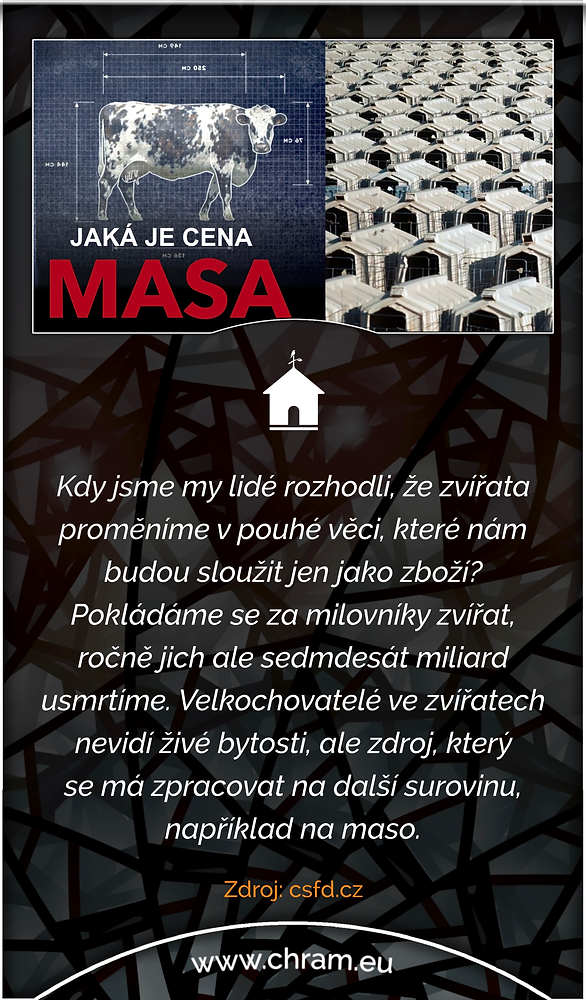 Dejte si maso ve filmu, to skutečné už třeba nebudete chtít! 🎥🐮