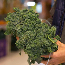 brocolis-rama-verde-vegan-organico-organic-bio-mercado-hortifruti-feira-verdura-salada-pro