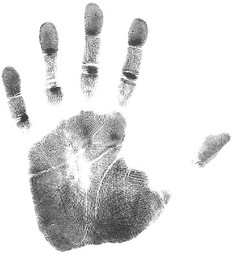 0034952_human_hand_palm.jpg