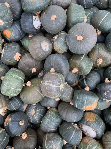 Buttercup Squash