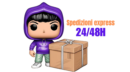 Spedizioni express in 48 ore