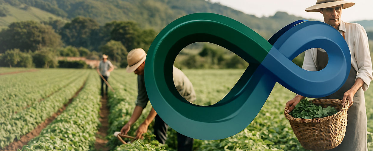 Imagem de capa abstr_edited.jpg