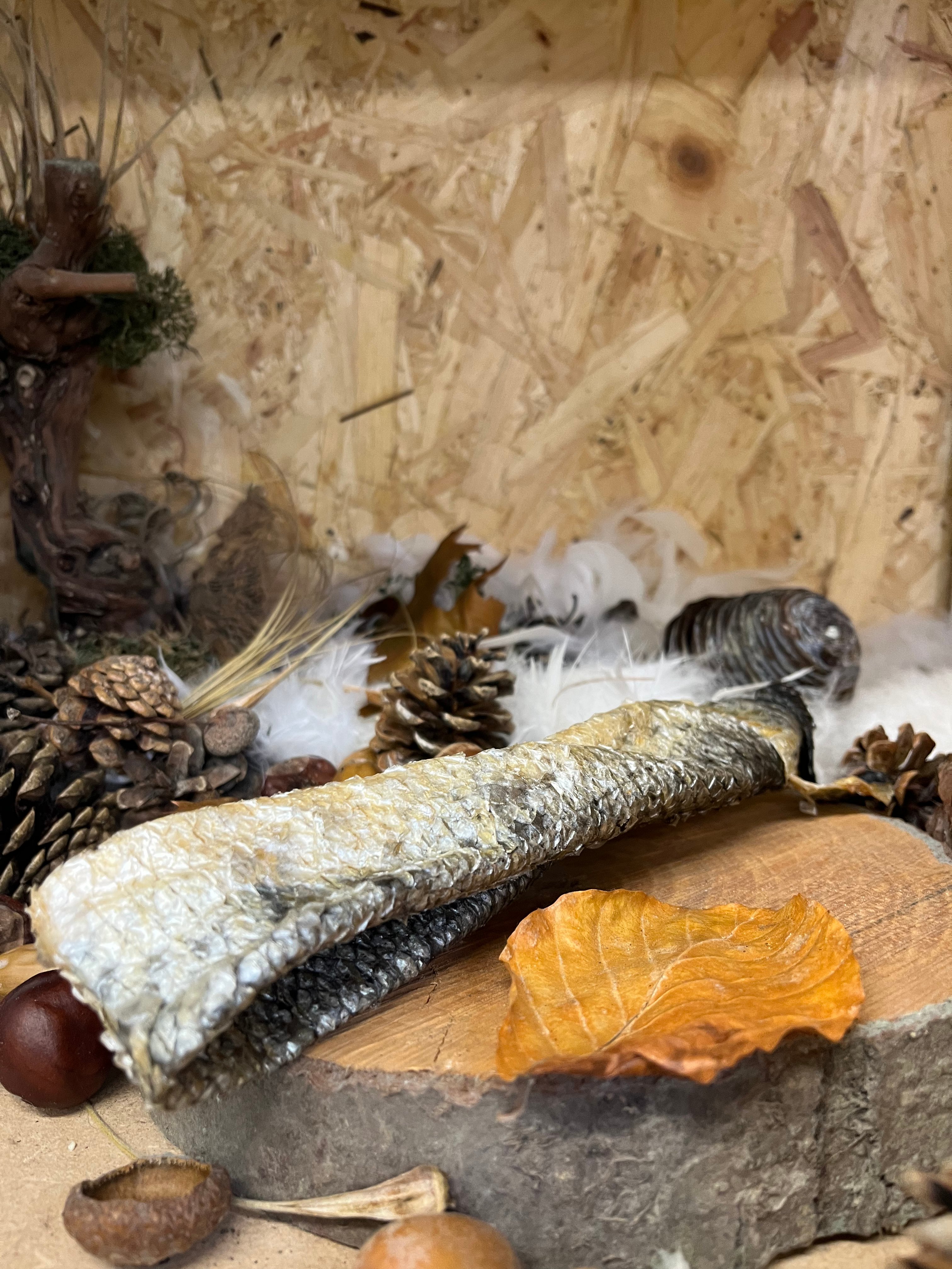 PEAU DE SAUMON 100% naturelle