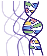 Screenshot 2025-06-06 at 11.31.40.png