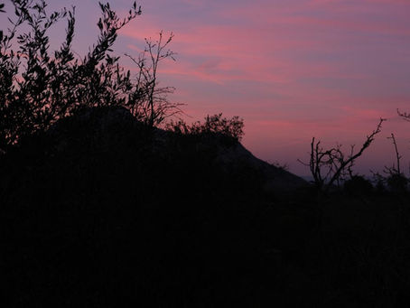 ALTO LAZIO TRA ULIVI, QUERCE E TORRI ANTICHE